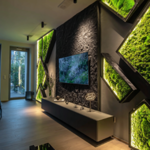 Abstract Nature Tv Wall