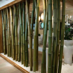 Light Bamboo Spa Divider
